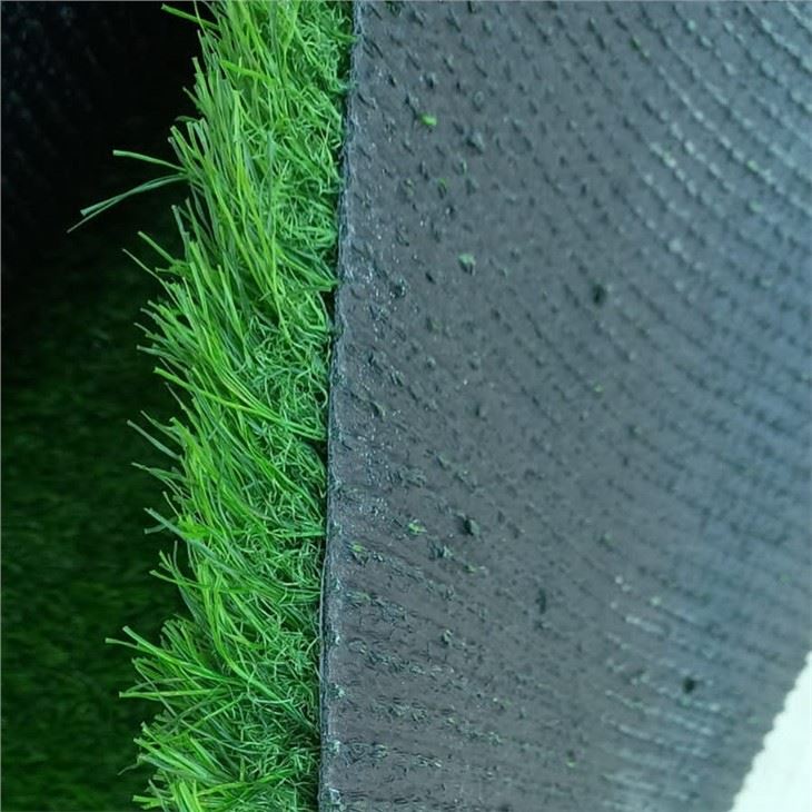 Green Color  Landscape 