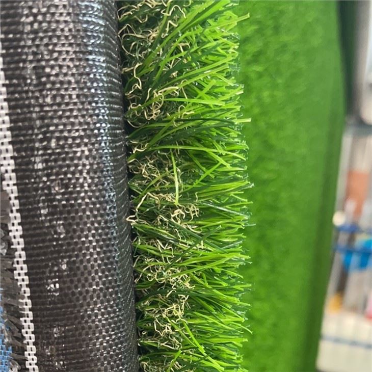 green brown grass