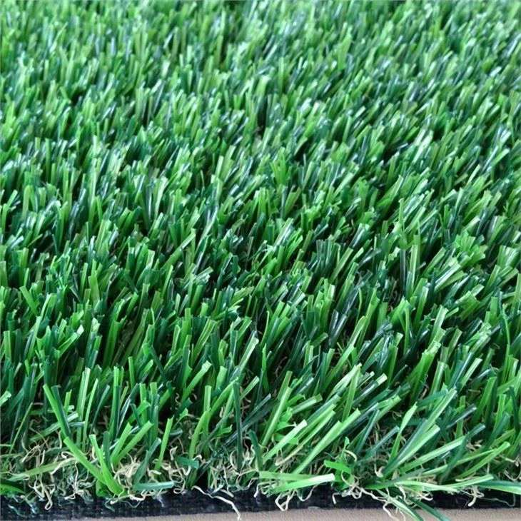 25grass