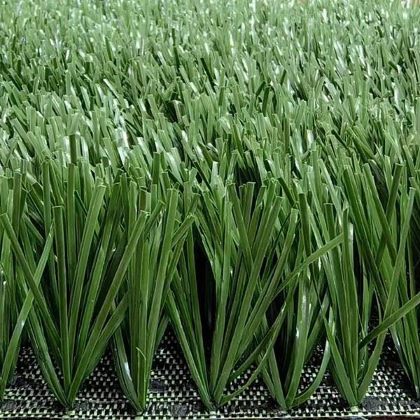 football pitch grass